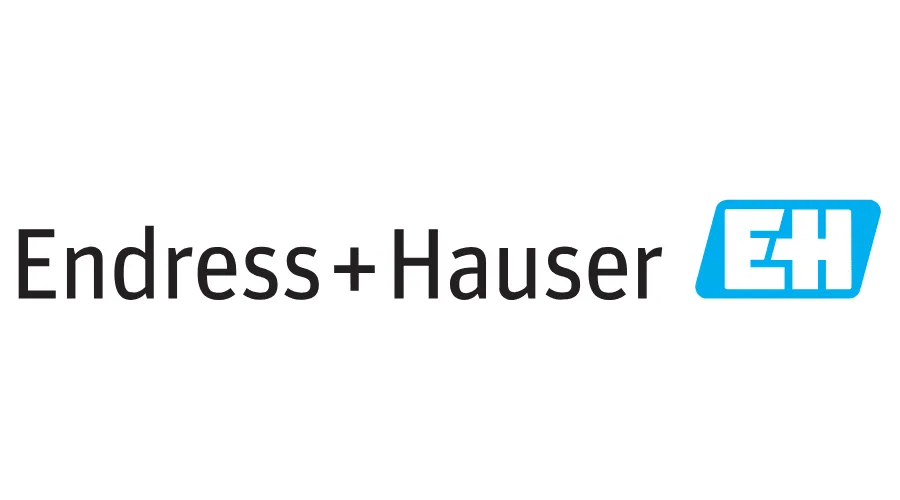 Maxima Automation delivers Endress+Hauser process automation and measurement solutions for reliable, precise control in diverse industrial applications